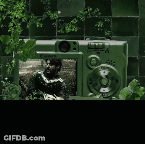 Green Canon Camera With Man In Field GIF