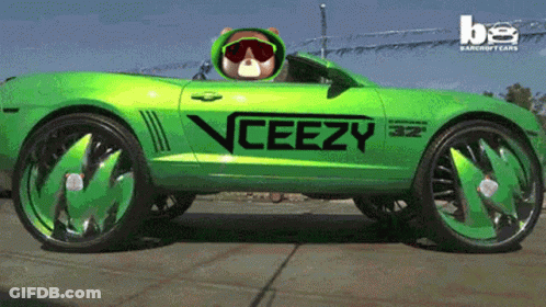 Green Car With Veezy GIF
