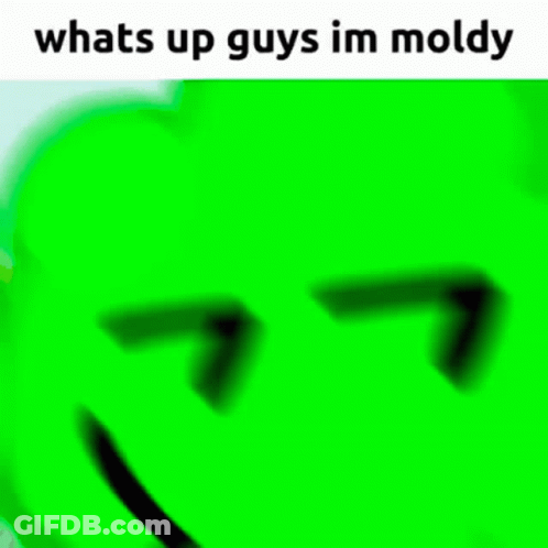 Green Cartoon Smiling Saying Whats Up Guys Im Moldy GIF
