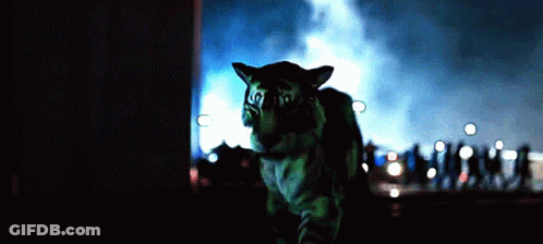 Green Cat Standing In Front Of Crowd In The Dark GIF
