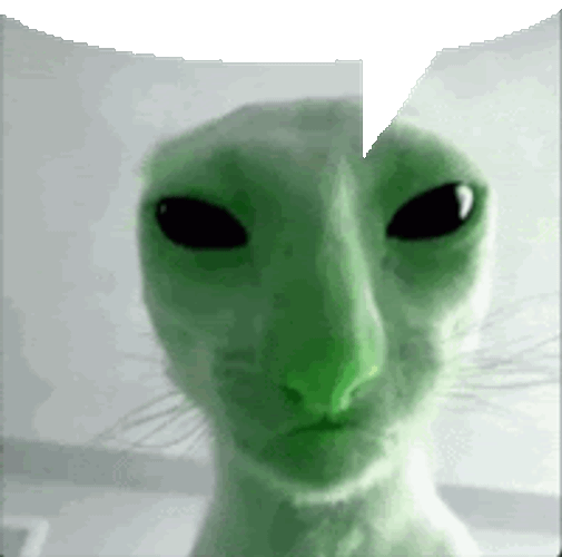 Green-Cat-Thinking Sticker GIF