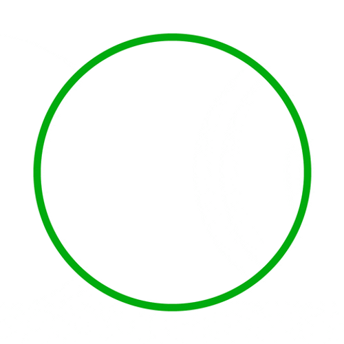 Green Circle Ok Check Mark GIF