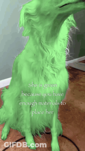 Green Dog Saying She Is Green Because You Have Enough Materials GIF