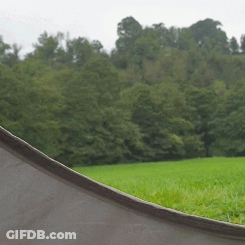 Green Field And Trees GIF