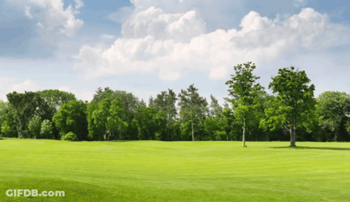 Green Field With Trees And Blue Sky GIF