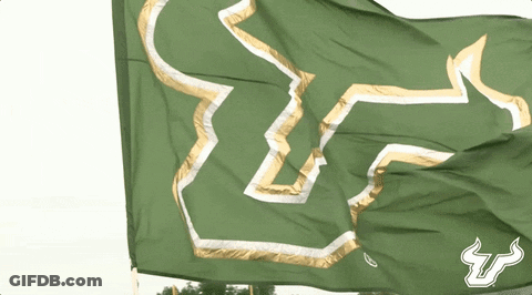 Green Flag With Bull Flying In Wind GIF