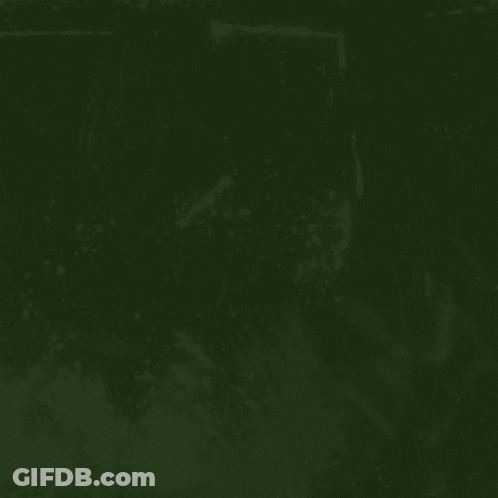 Green Flag With Dito Tayo GIF