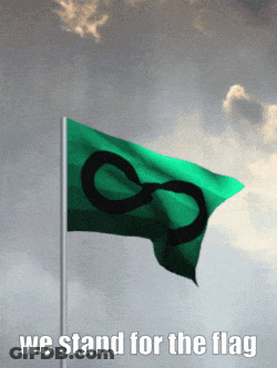 Green Flag With Infinity Symbol And We Stand For The Flag GIF