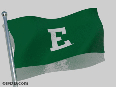Green Flag With Letter E Waving GIF
