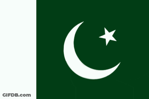 Green Flag With White Crescent Moon And Star GIF