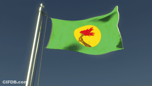 Green Flag With Yellow Circle And Red Flame GIF