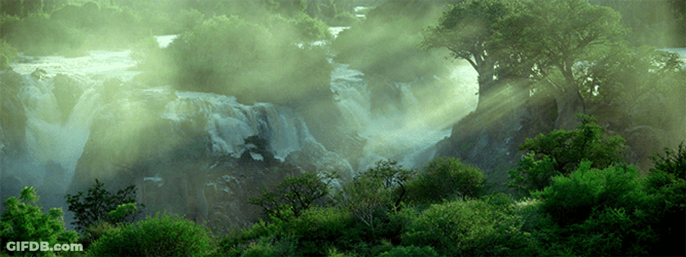 Green Forest Waterfall With Sunlight GIF
