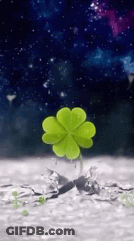 Green Four Leaf Clover Growing From Ground GIF