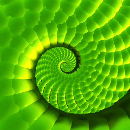 Green Fractal Hypnosis Spiral GIF