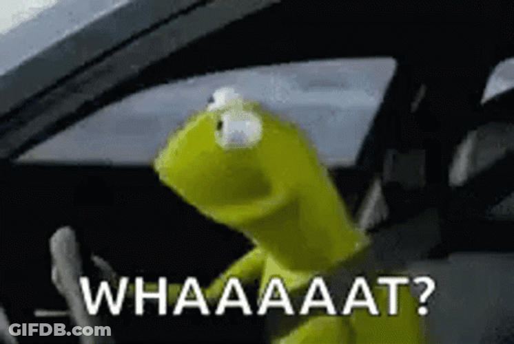 Green Frog Driving Whaaaat GIF