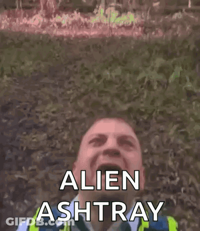 Green Frog In Blue Shirt Wearing Sunglasses GIF