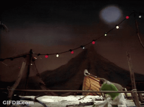 Green Frog In Front Of Mountain With String Lights GIF