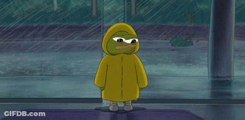 Green Frog In Yellow Raincoat Standing In Rain GIF