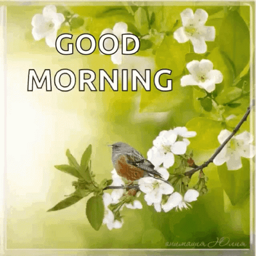 Green Garden With White Floral GIF