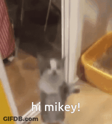 Green Haired Man Drinking From White Cup GIF
