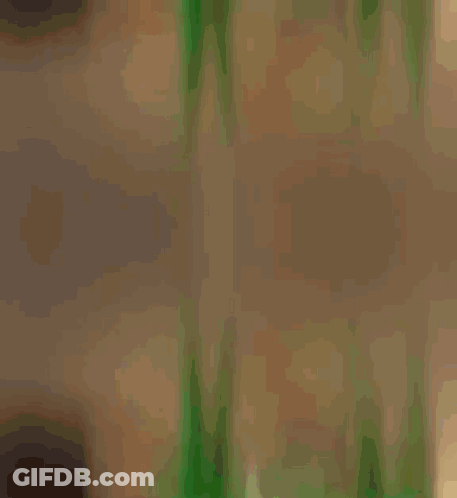 Green Horse With WhatsApp Logo GIF