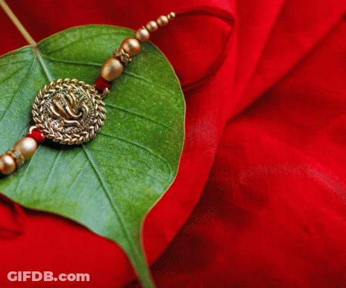 Green Leaf With Bracelet On Red Background Digital Bharati Logo GIF