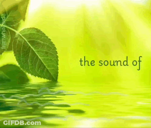 Green Leaf With The Sound Of Silence GIF