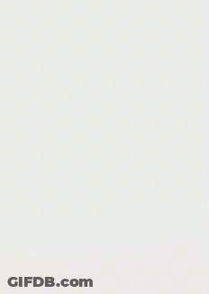 Green Leaf With Water Drop GIF