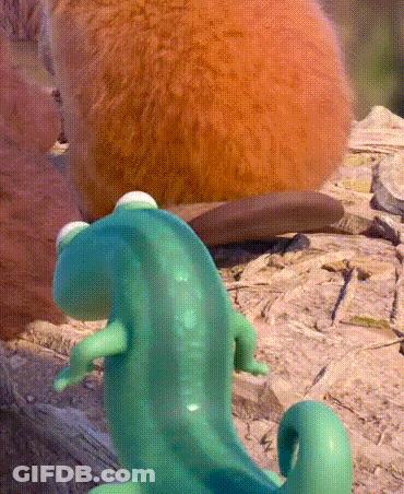 Green Lizard Sitting On Rock Next To Squirrel GIF