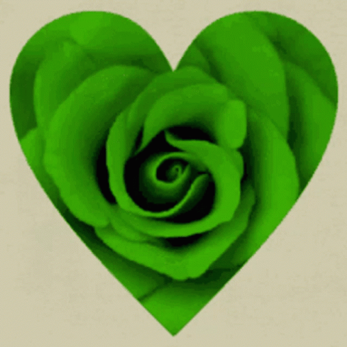 Green Love Heart Rose GIF