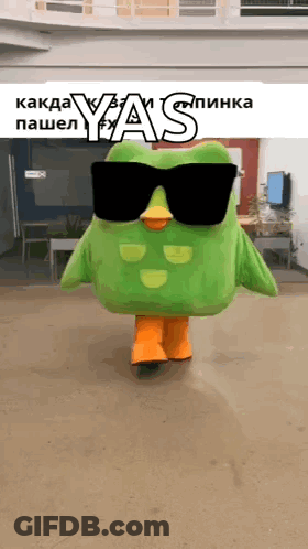 Green Owl Mascot With Sunglasses GIF