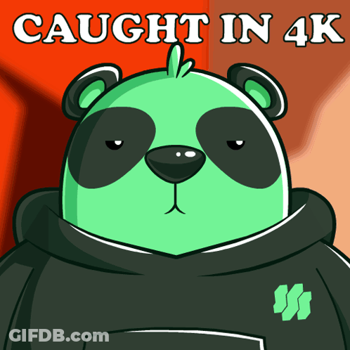 Green Panda Bear Wearing Caught In 4K Hoodie GIF