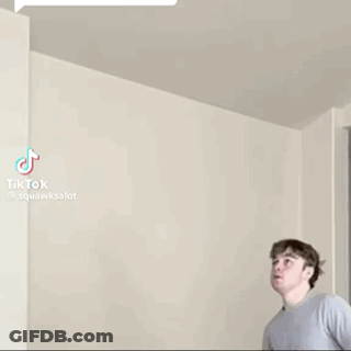 Green Parrot Flying GIF