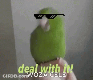 Green Parrot Wearing Sunglasses Deal With It Woza Cele GIF