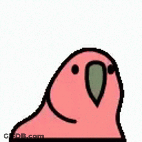 Green Parrot With Long Beak Looking Up GIF