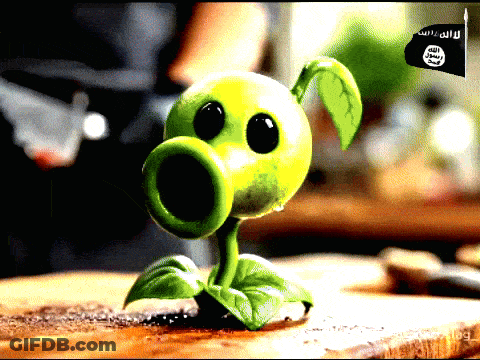 Green Plant With Black Eyes Next To Islamic State Flag GIF