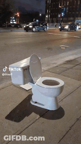 Green Portable Toilet With Pete's Potties Sticker GIF