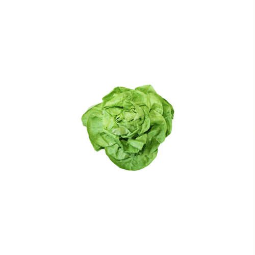 Green Salad Lettuce Sticker GIF