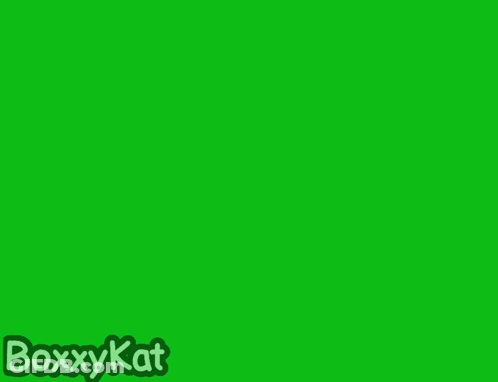 Green Screen With Boxykat Logo And Follow Button GIF