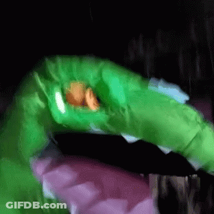 Green Snake With Pink Tongue GIF