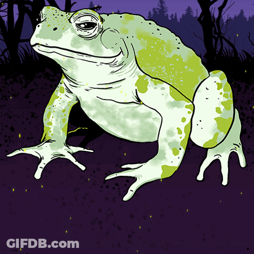 Green Spotted Frog Sitting GIF