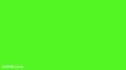 Green Subscribe Button With Thumbs Up And Bell GIF