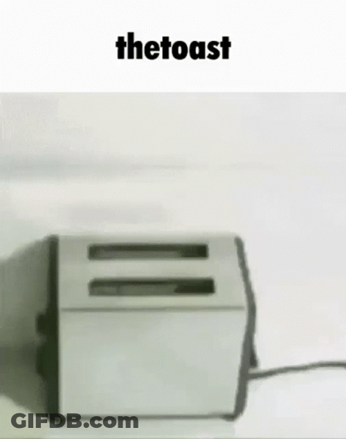 Green Toast Bread Flying GIF