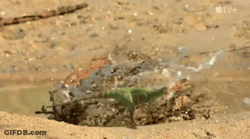 Green Toy Dinosaur Splashing In Puddle On Beach GIF