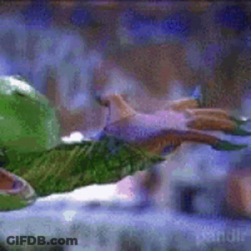 Green Turtle Swimming In Tank GIF