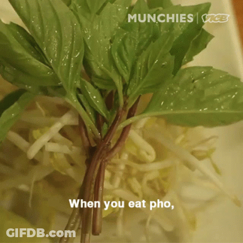 Green Vegetables Saying When You Eat Pho GIF