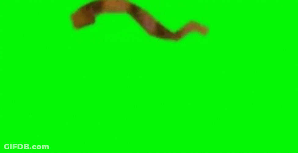 Green Wall John Cena On Green Screen GIF