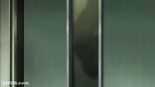 Green Wall With Metal Frame GIF