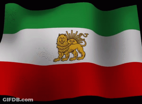 Green White And Red Flag With Lion GIF