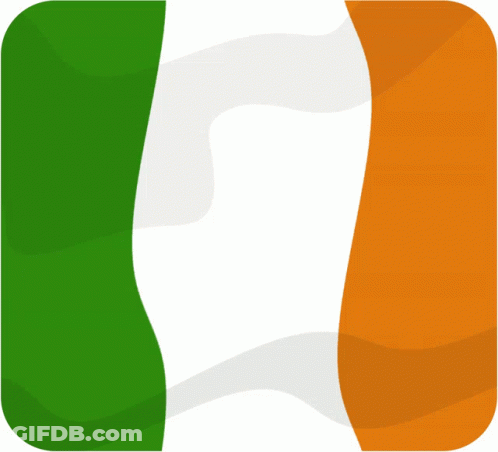 Green White Orange Flag With White Border GIF